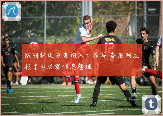 欧洲杯比分查询入口推荐 备用网址指南与观赛信息整理