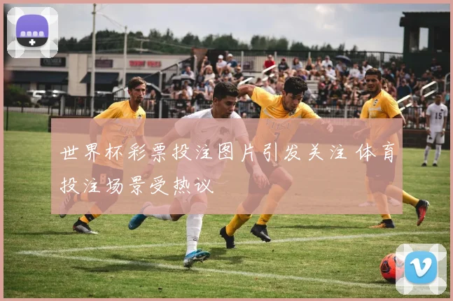 世界杯彩票投注图片引发关注 体育投注场景受热议