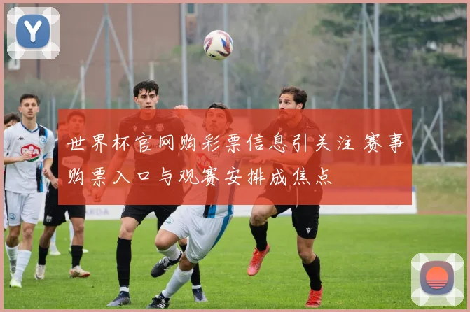 世界杯官网购彩票信息引关注 赛事购票入口与观赛安排成焦点