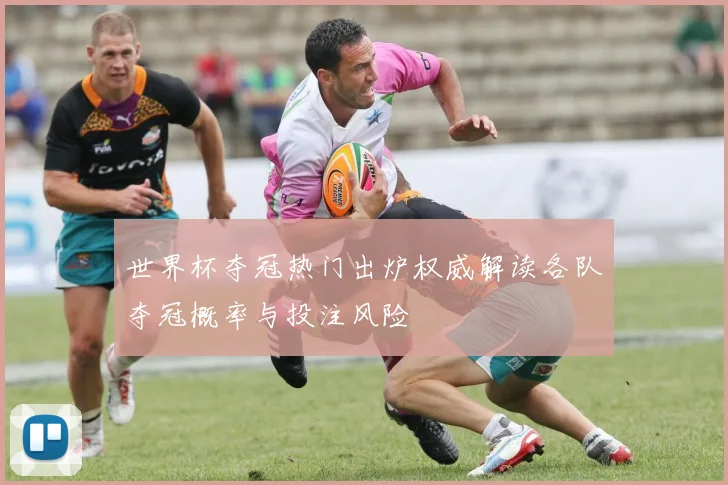世界杯夺冠热门出炉权威解读各队夺冠概率与投注风险