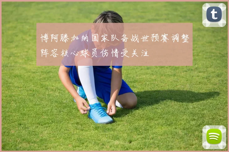 博阿滕加纳国家队备战世预赛调整阵容核心球员伤情受关注