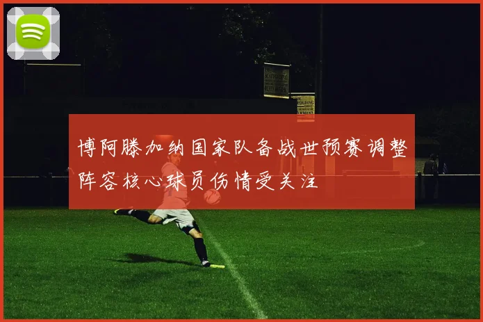 博阿滕加纳国家队备战世预赛调整阵容核心球员伤情受关注