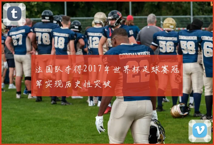 法国队夺得2017年世界杯足球赛冠军实现历史性突破