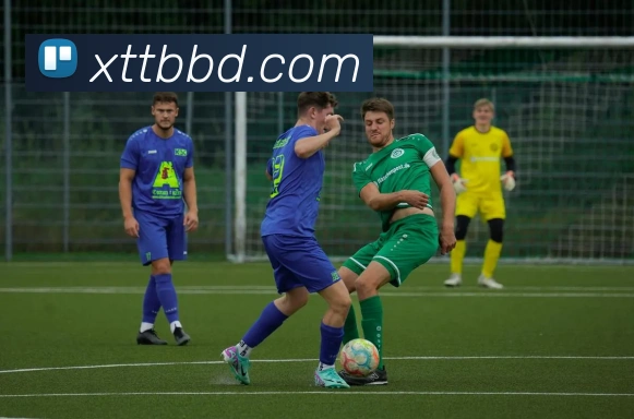 开云在线手机登陆品牌故事