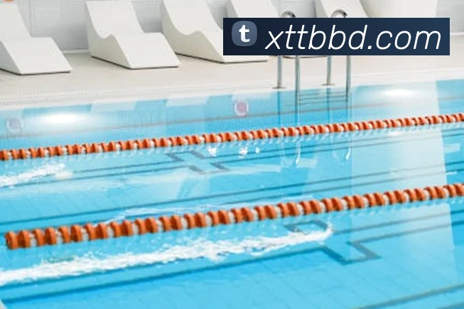 开云在线手机登陆服务体系